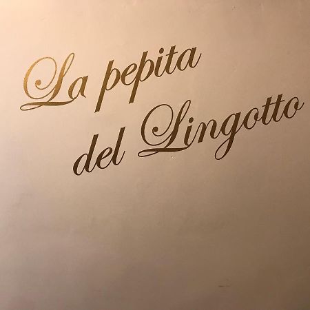 La Pepita Del Ling8 Apartment Torino Exterior foto